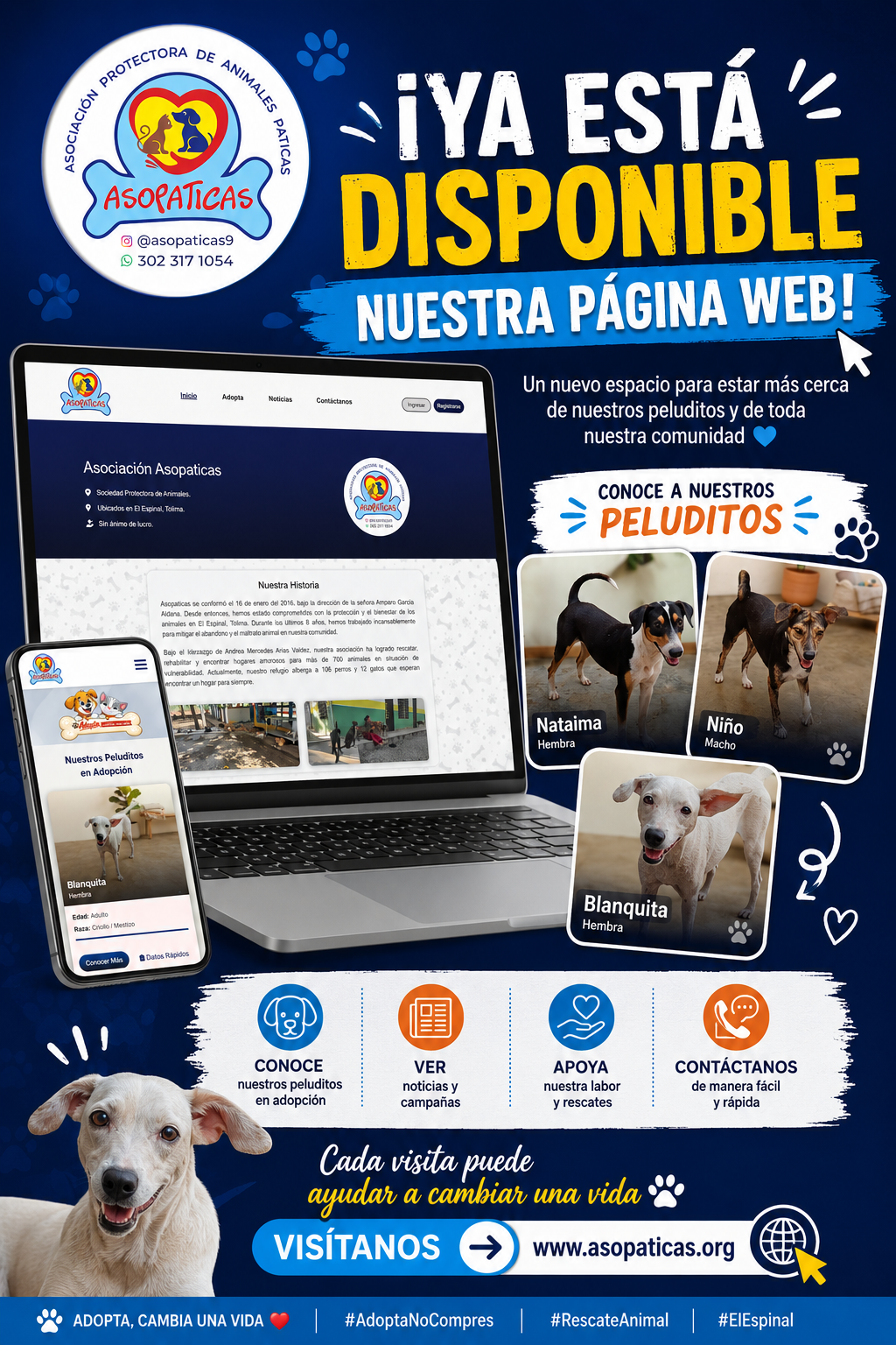 Imagen de la noticia